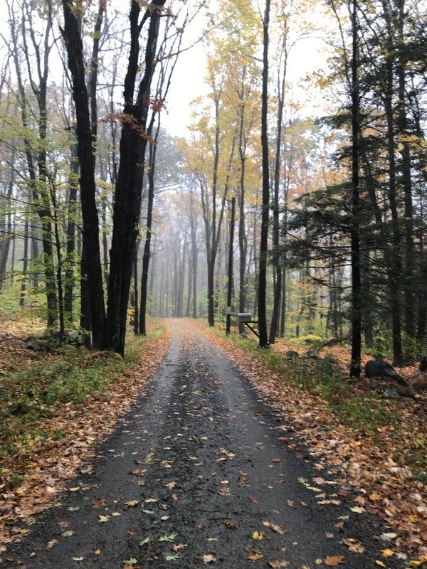 Rainy day run